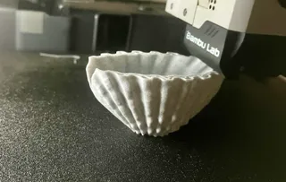 Scallop Seashell Napkin Holder