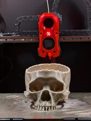 Realistic Skull Candy Bowl | Halloween Skull Decoration
