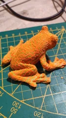 Multi-Color Tree Frog