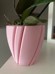 Orchid Pot