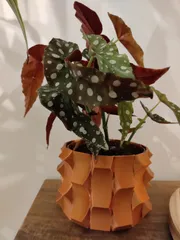 Switch Pot and Planter for House plants - Vase mode