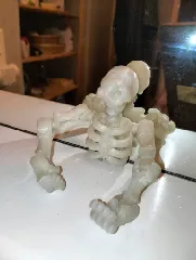skeleton