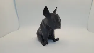 bouledogue francais