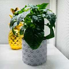 Shining Plant pot and Planter - Vase mode design