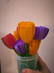 Vasemode Tulip