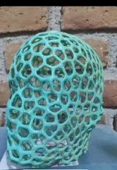 Voronoi Head - helmet or headphone holder