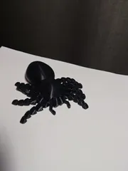 Articulated Spider