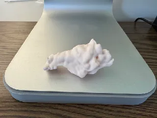 3D Printable Chicken Wings!