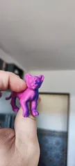 Lion cub