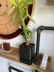 Vori Square Planter by MODERN MACHINE