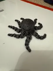 Cute Mini Octopus