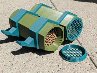 Solitary bees nest