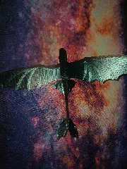Flying Night Dragon