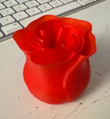 Spiral Vase Rose