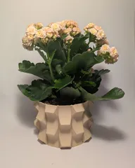 Switch Pot and Planter for House plants - Vase mode