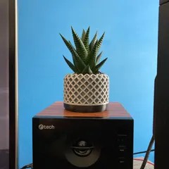 Modern geometric succulent plant pot