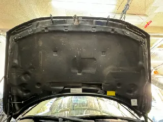 Volvo Hood Insulation Clip