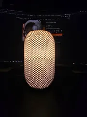 Pine Cone Table Light