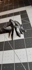 Witcher Medallion