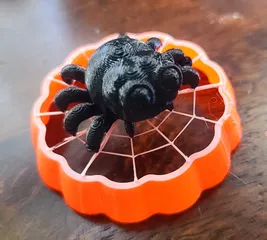 Spider's Web ~ A 3D Printer stress test