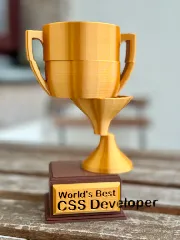 "World's Best CSS Developer" Trophy