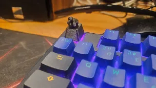 duck keycap