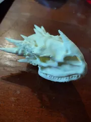 Dragon Skull
