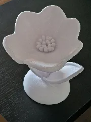 Eternal Spring Flower