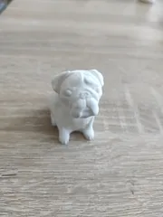 Josef Prusa's pug Buddy