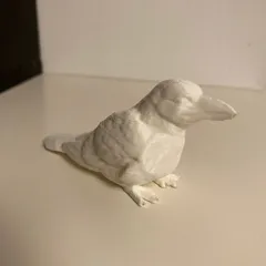 Sitting Crow