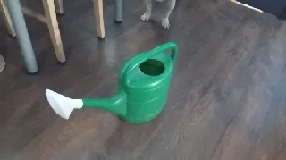 Watering Can Sprinkler Head