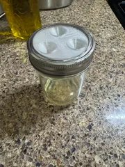 Fruit Fly Trap