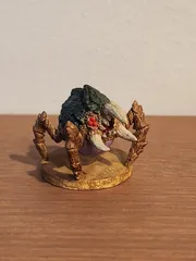 Gamma Metroid