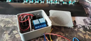 ESP32 and double relay board case