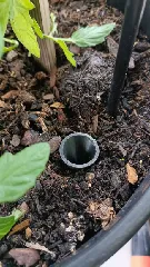 Watering Spike for Garden and Balcony