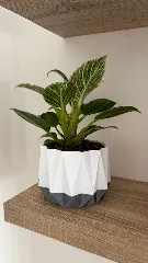 Tradicional crystal - Pot and planter for plants and flowers - vase mode print