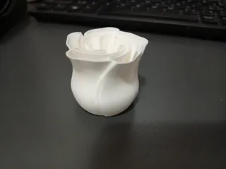 Beautiful Vase Rose