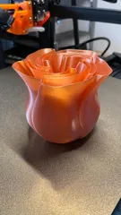 Spiral Vase Rose