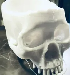 Realistic Skull Candy Bowl | Halloween Skull Decoration