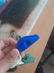 V29 whistle