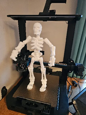poseable skeleton by Jakub Bulacz | Download free STL model ...