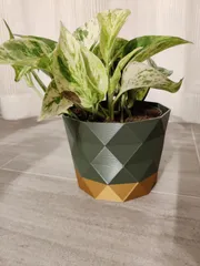 GeoStone Planter Pot