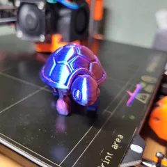 Cutie Baby Turtle