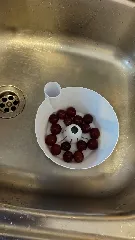 Beerenwaschmaschine mit Strudeleffekt / Berry Washer with Vortex