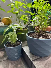 Planter