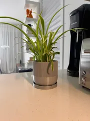 Mid-Century Modern Planter Pot, with Drainage Holes, Drip Tray, Multiple Sizes