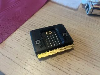 Microbit protective case