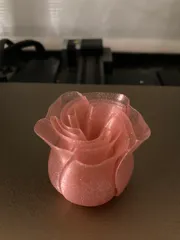 Spiral Vase Rose