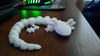 Enhanced Articulated Axolotl