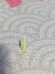 Syringe Tip (1mL)
